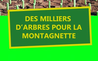 Des milliers d’arbres pour la Montagnette