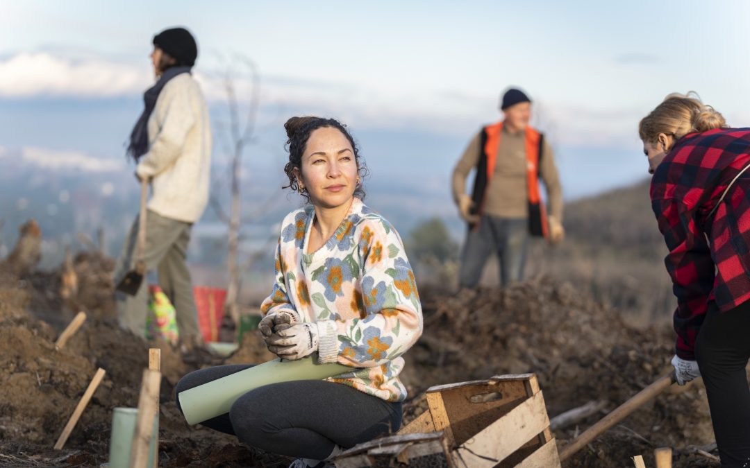 Des milliers d’arbres pour la Montagnette